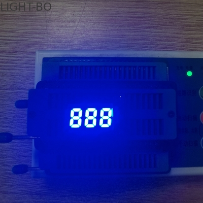 Bom preço. Um segmento de 0,25 polegadas 465nm 7 conduziu a exposição 80mW ultra azul on-line